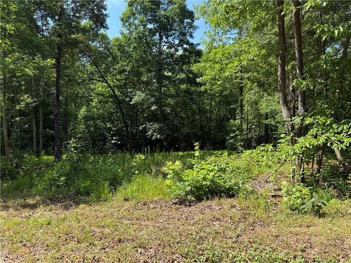 Property Photo:  20 Ac Ellijay Road  GA 30175 