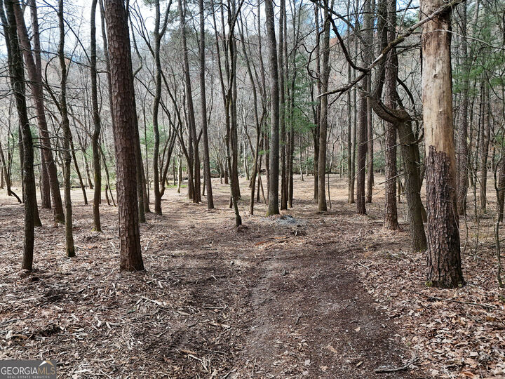Property Photo:  Lt 45A Synacia Drive  GA 30559 