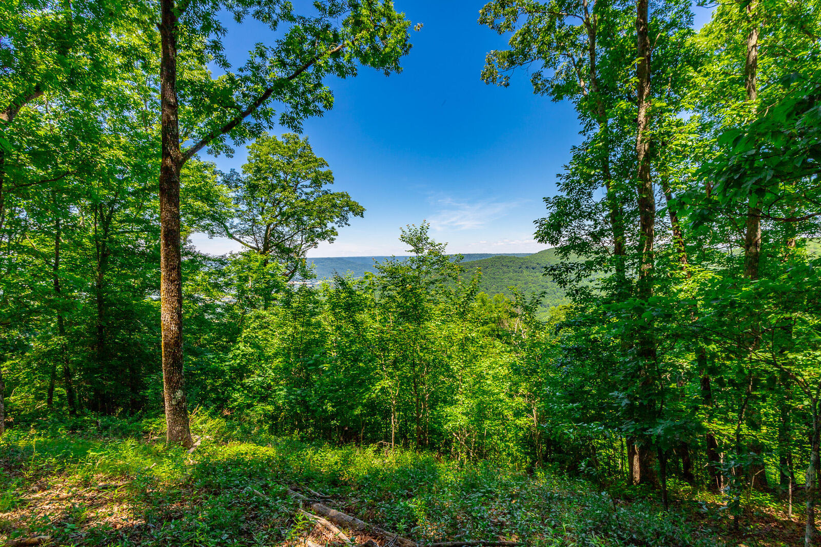 Property Photo: 0 Volunteer Street TN 37347