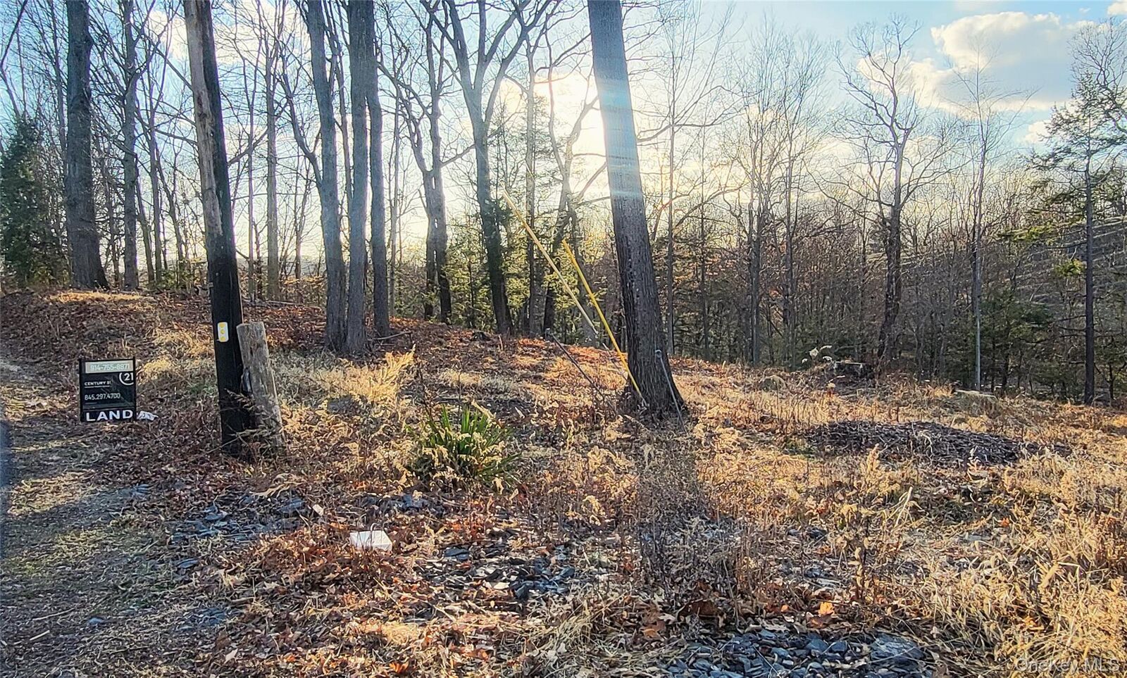 Property Photo:  18 Plattekill Road  NY 12542 