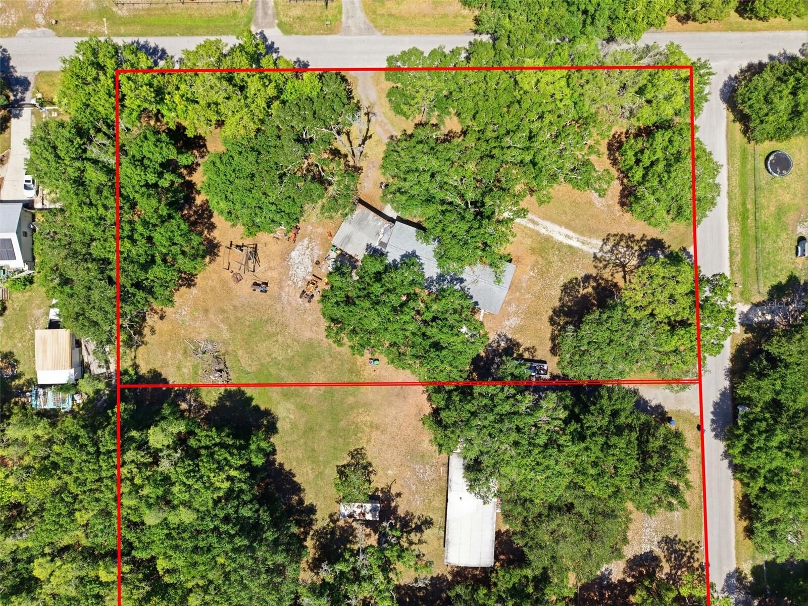 Property Photo: 1136 Wildwood Lane FL 33558
