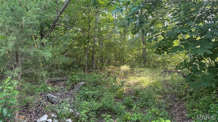 Property Photo: 9305 Beach Drive MO 63036