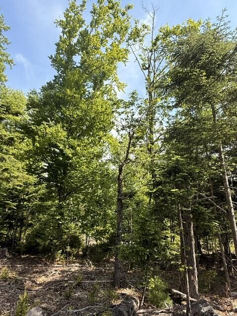 Property Photo: Lot #16 Sunset Cove Way ME 04472
