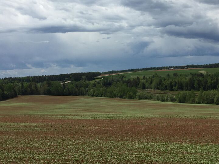 Property Photo: Acreage South Melville Road PE C0A 1J0