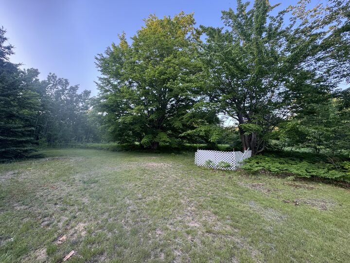 Property Photo:  10590 N Hayes Lane  MI 49718 
