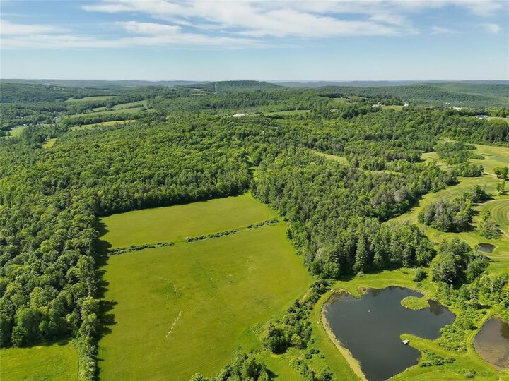 Property Photo: 0 Waits Road NY 13827
