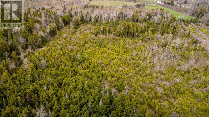 Property Photo:  Lot Highway 215  NS B0N 2R0 