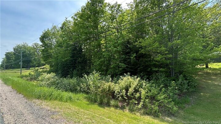 Property Photo:  Lot Route 135  NB E8R 1N1 