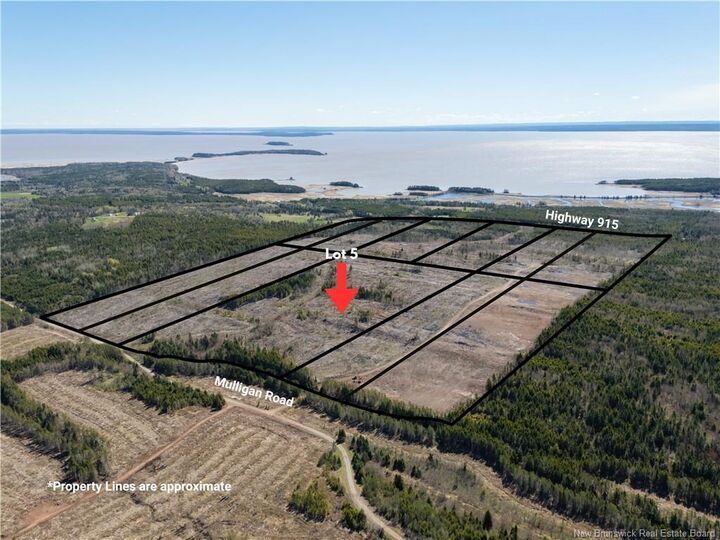 Property Photo:  Lot 5 Route 915  NB E4H 3T4 
