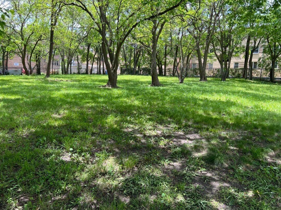 Property Photo:  2121 E 72nd Street  IL 60649 