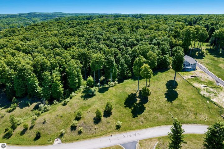 Property Photo:  00 W Sleepy Valley Drive  MI 49630 