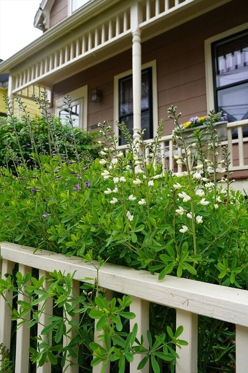 Property Photo: 10 Mountain Ave MA 02143