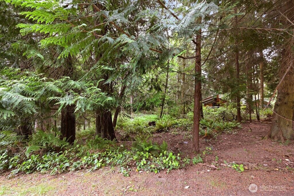 Property Photo:  241  Belvedere Drive  WA 98368 
