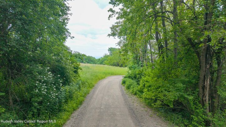 Property Photo:  Tbd Skinner  NY 12015 