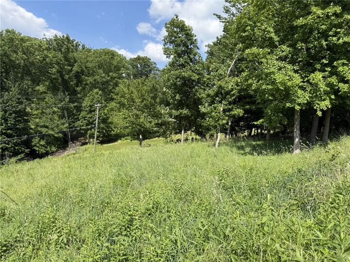 Property Photo:  Lots 206 And 208 Old Woods Drive  PA 15317 