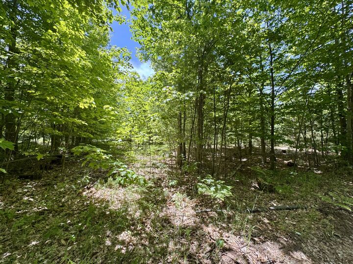 Property Photo: Par 5 Needles Road MI 49749