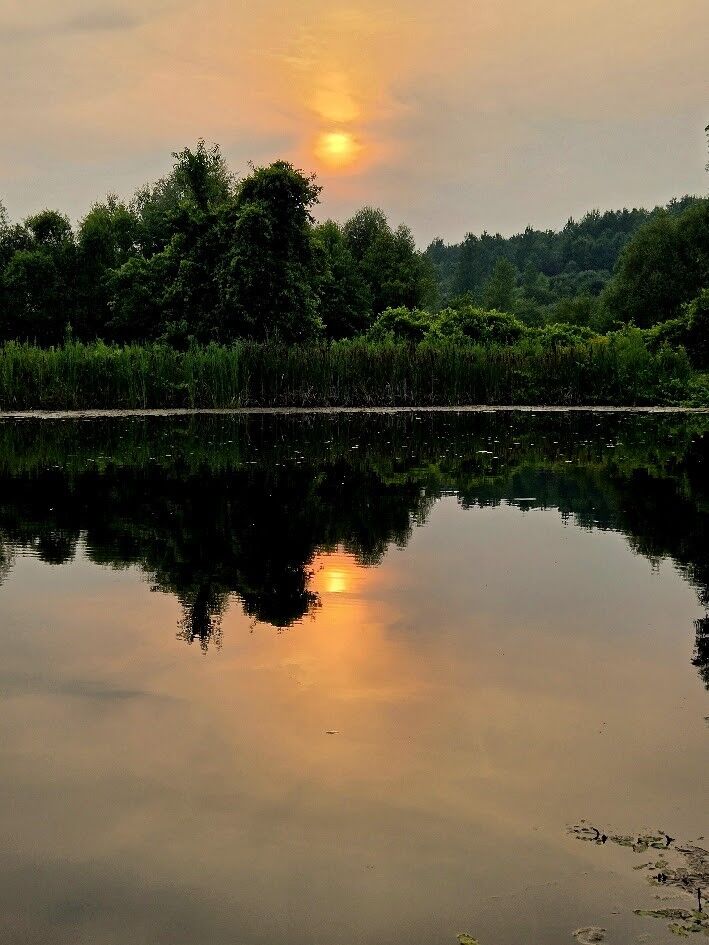 Property Photo: 10815 Church Creek Road NY 14830
