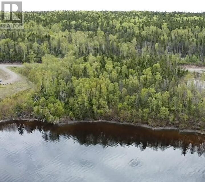 Property Photo:  9 Little Paradise Lake Road  NL A0H 1V0 