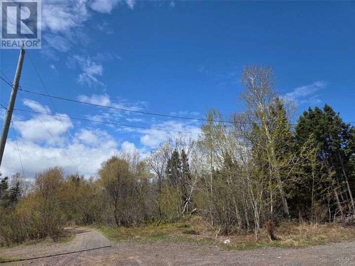 Property Photo:  29-46 Aspen Drive  NL A0H 1E0 