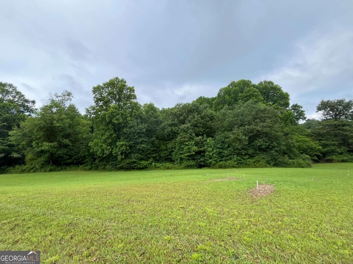 Property Photo:  Lot 117 Owen Glen Drive  GA 30512 