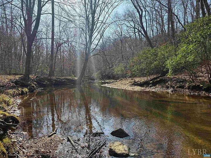 Property Photo: 0 Paynes Pond Road VA 24590