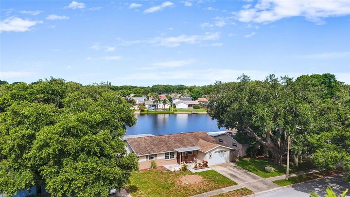 Property Photo:  4341 Otter Way  FL 34653 