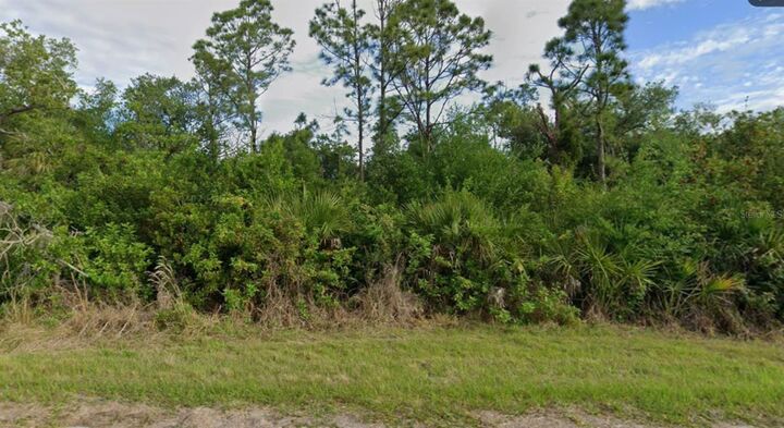 Property Photo: 14713 Rothschild Avenue FL 33953