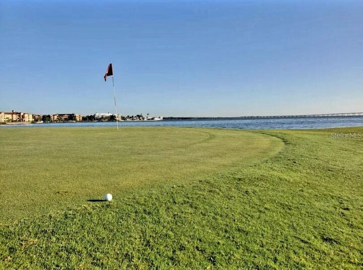 Property Photo: 2935 Lichen Lane C FL 33760