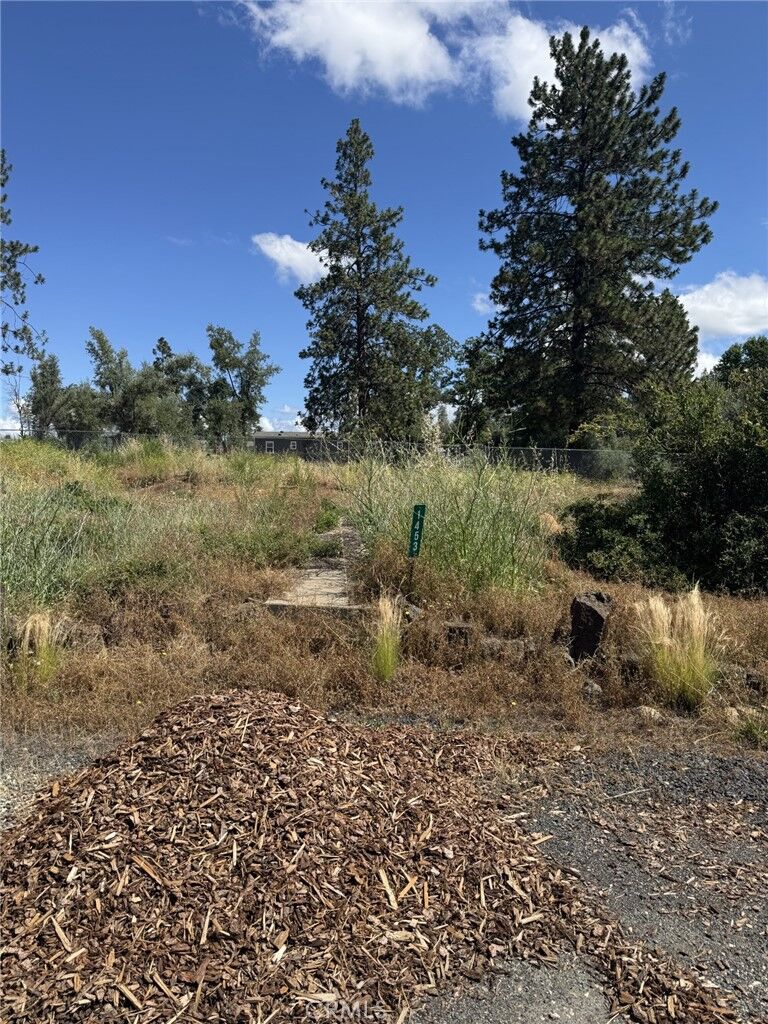 Property Photo: 1453 Scandia Way CA 95969