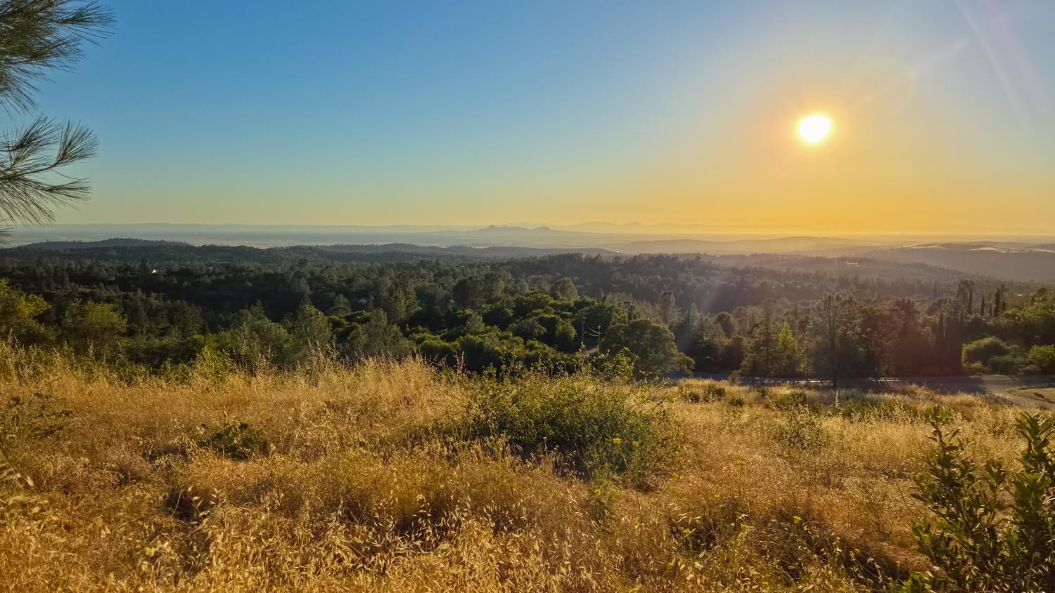 Property Photo:  10306 Canyon Creek Lane  CA 95946 