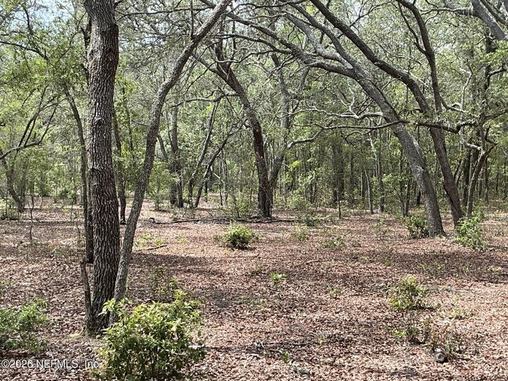 Property Photo:  1643 State Rd 20  FL 32640 