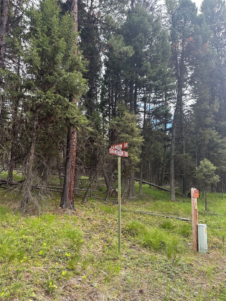 Property Photo:  1274 Grandview Drive  MT 59868 