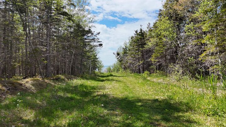Property Photo:  7.5 Acre Highway 4  NS B0E 3B0 