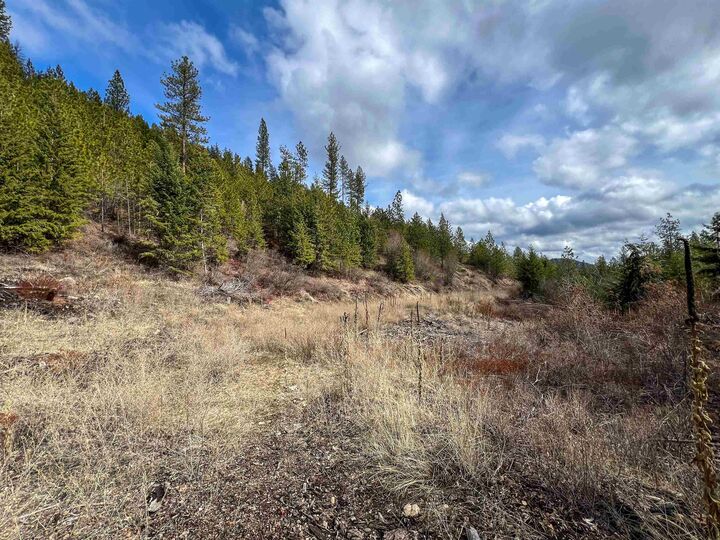 Property Photo:  352X Greene Rd  WA 99181 