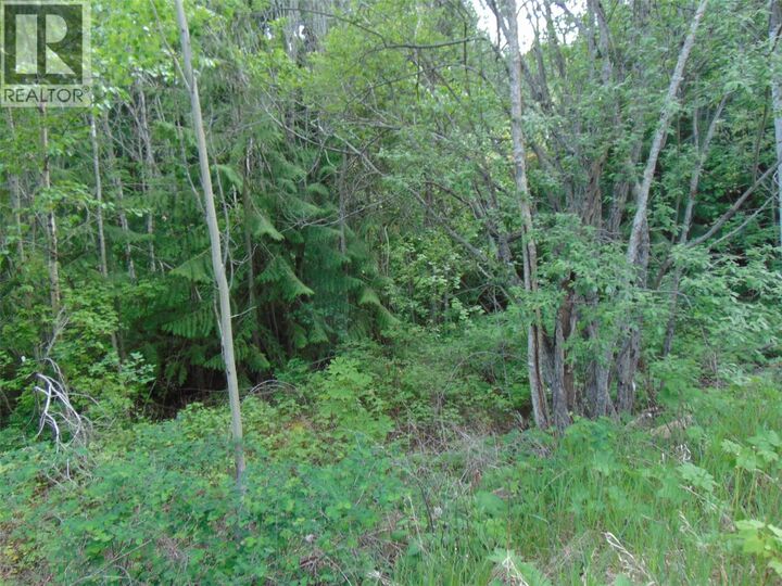 Property Photo:  Juniper Circle  BC V0E 2W2 