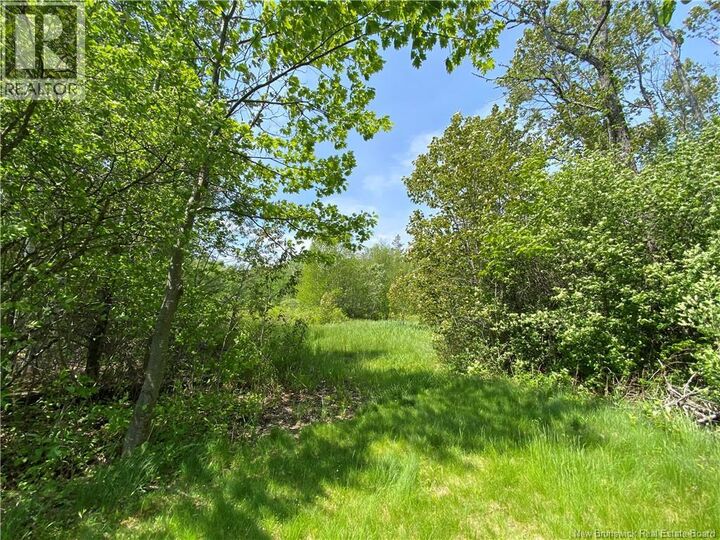Property Photo:  Lot Route 134  NB E4P 3G9 