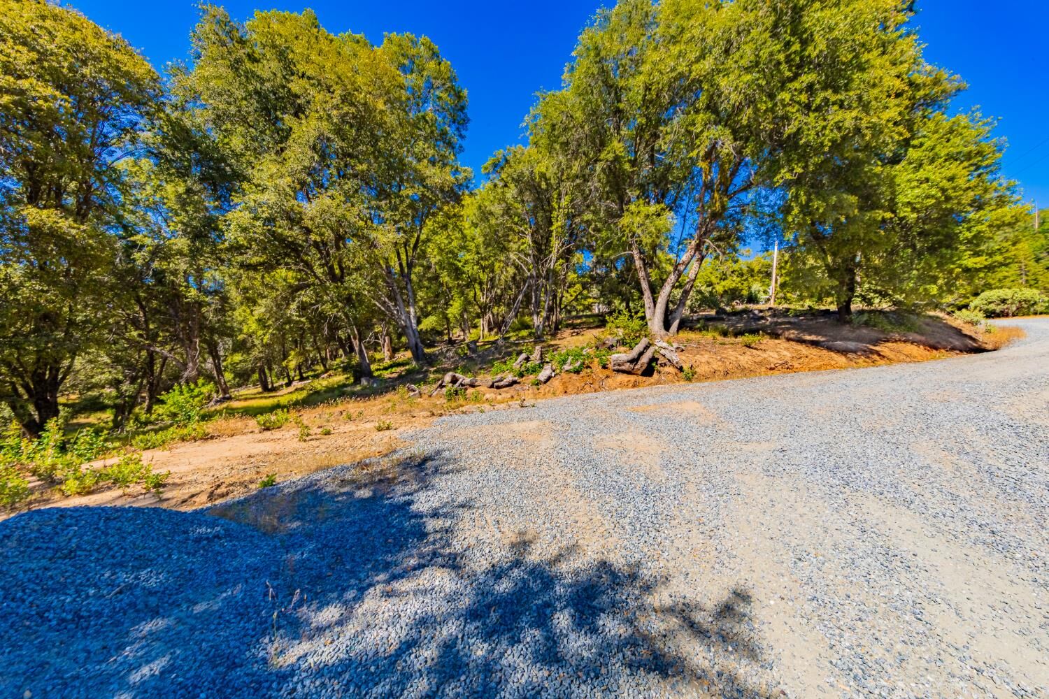 Property Photo:  5 3 Springs Road  CA 93644 