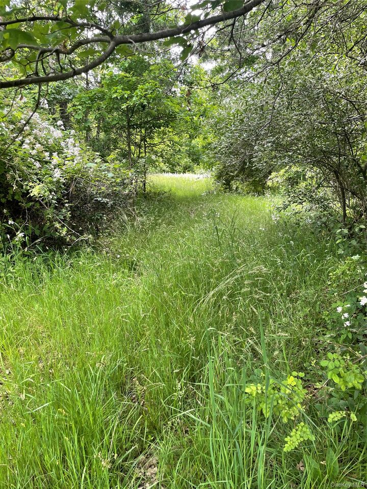 Property Photo: 454 County Route 17 NY 12566