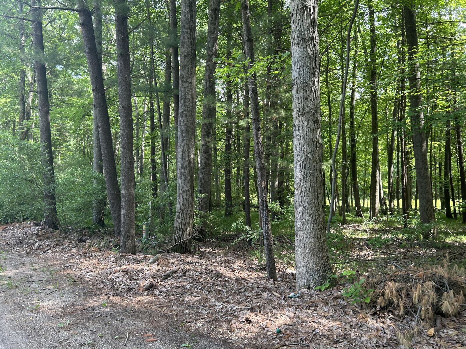 Property Photo:  11409 Heather Lane  MI 49346 