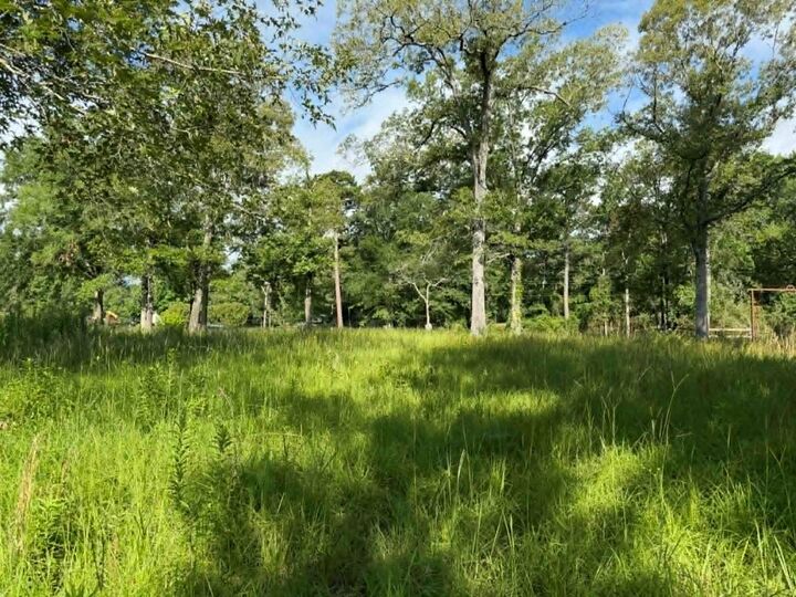 Property Photo:  194 Lindsley Lane  TX 75949 