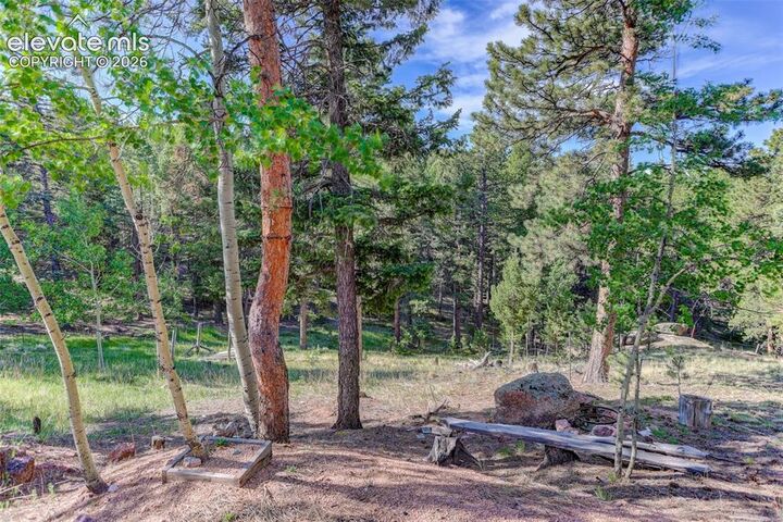 Property Photo:  4 Honeysuckle Road  CO 80863 
