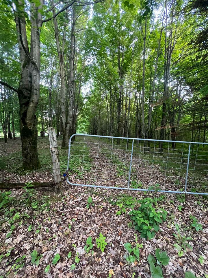 Property Photo:  1947 Route 100 N/A  ON K0A 2M0 