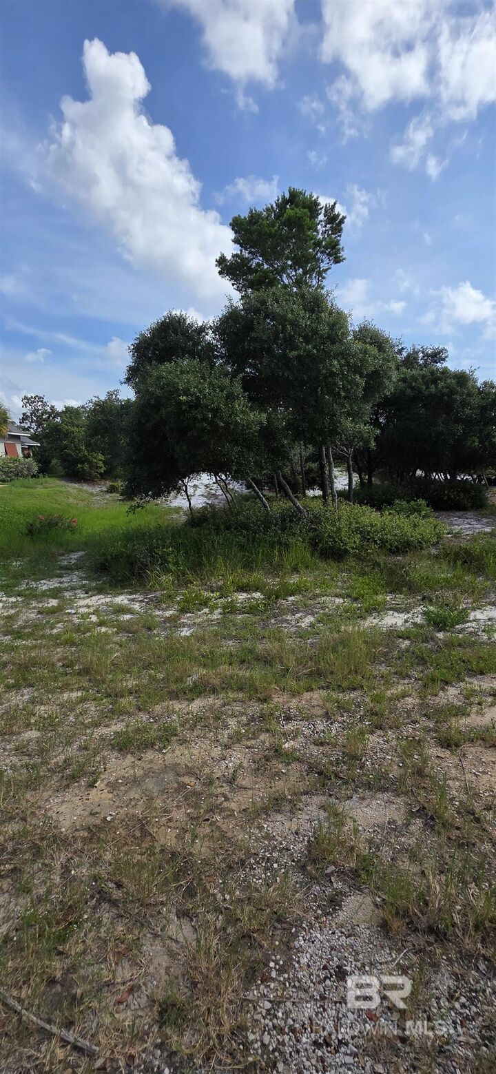 Property Photo:  Pine Run Drive  AL 36561 