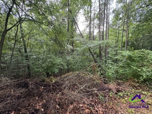 Property Photo:  172 Waters Pointe  GA 31052 