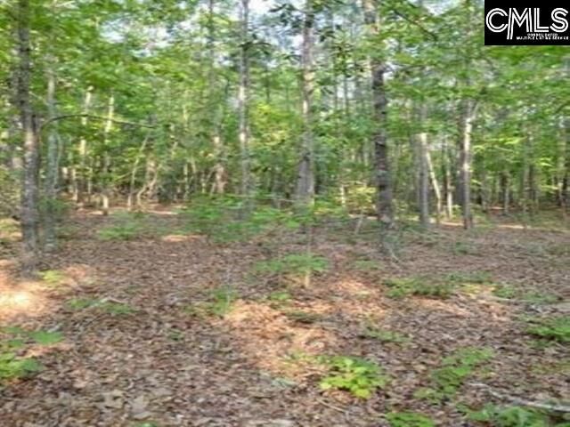 Property Photo:  Lake Dogwood  SC 29044 
