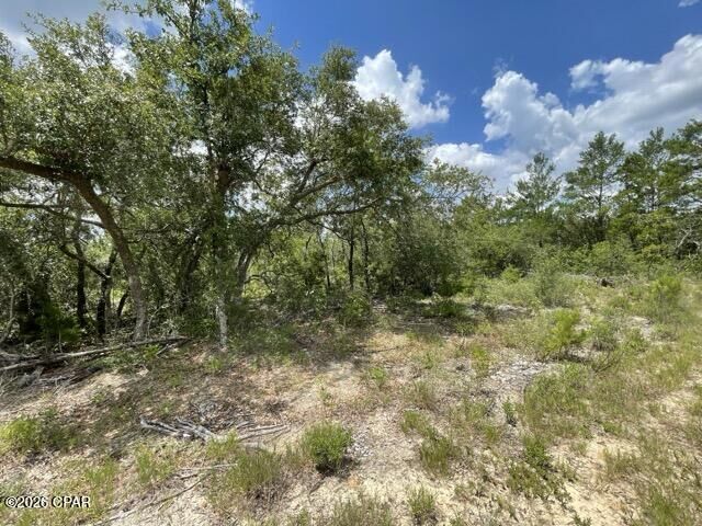 Property Photo: 0000A NW Rowland Lane FL 32438