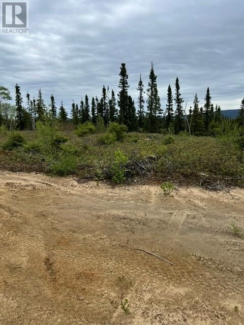 Property Photo:  144353 Route 500 Trans Labrador Highway  NL A0P 1E0 
