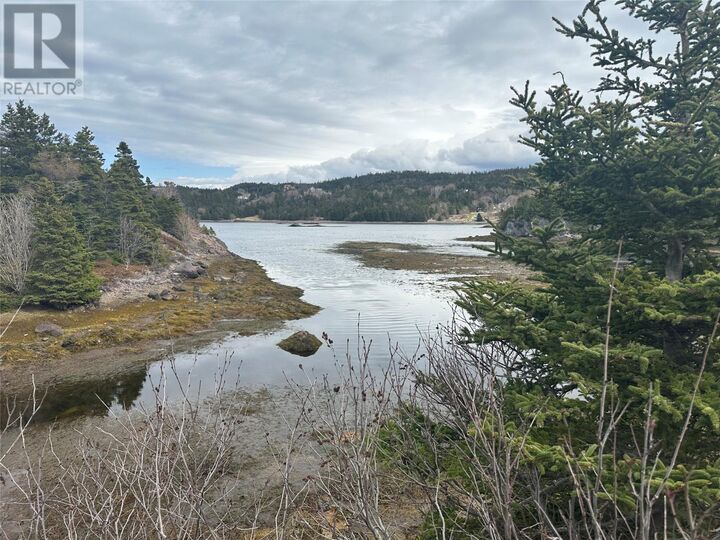 Property Photo:  12-16 Back Cove Road  NL A0A 1B0 