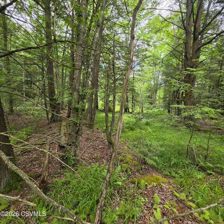 Property Photo: Lot 9 Deep Hollow Run PA 17758
