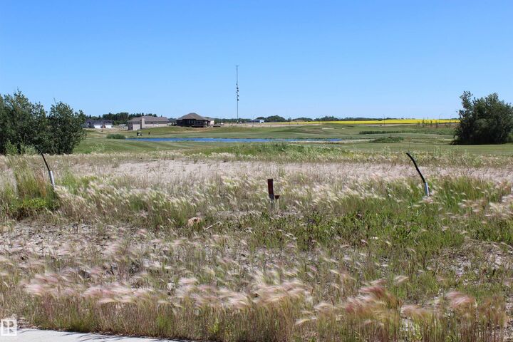 22 Whitetail — photo 1